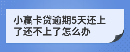 小赢卡贷逾期5天还上了还不上了怎么办