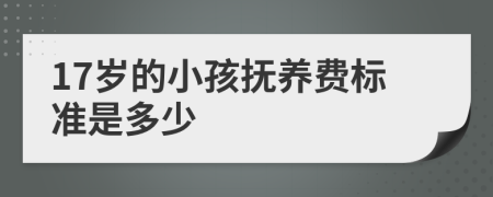 17岁的小孩抚养费标准是多少