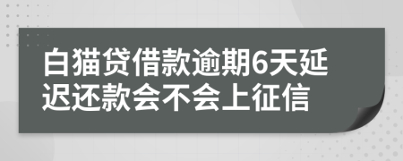 白猫贷借款逾期6天延迟还款会不会上征信