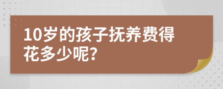 10岁的孩子抚养费得花多少呢？