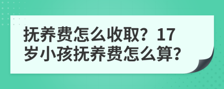 抚养费怎么收取？17岁小孩抚养费怎么算？