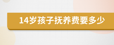 14岁孩子抚养费要多少