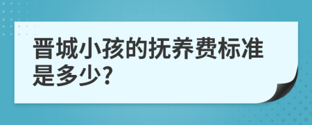 晋城小孩的抚养费标准是多少?