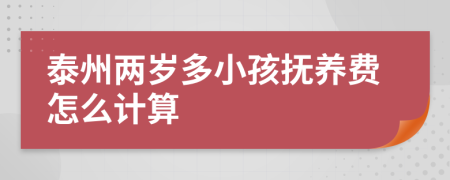 泰州两岁多小孩抚养费怎么计算