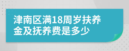 津南区满18周岁扶养金及抚养费是多少