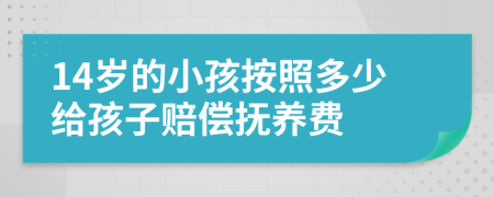 14岁的小孩按照多少给孩子赔偿抚养费