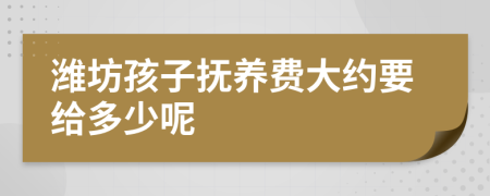 潍坊孩子抚养费大约要给多少呢