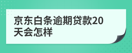 京东白条逾期贷款20天会怎样