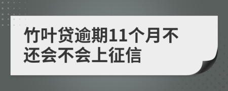 竹叶贷逾期11个月不还会不会上征信