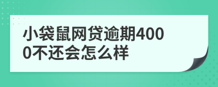 小袋鼠网贷逾期4000不还会怎么样