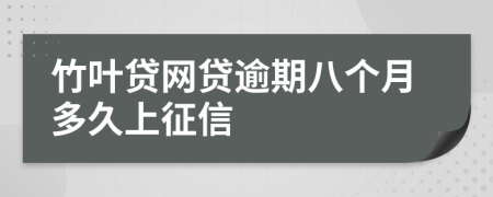 竹叶贷网贷逾期八个月多久上征信