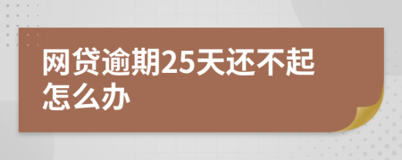 网贷逾期25天还不起怎么办