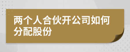 两个人合伙开公司如何分配股份