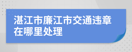 湛江市廉江市交通违章在哪里处理