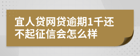 宜人贷网贷逾期1千还不起征信会怎么样