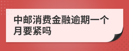 中邮消费金融逾期一个月要紧吗