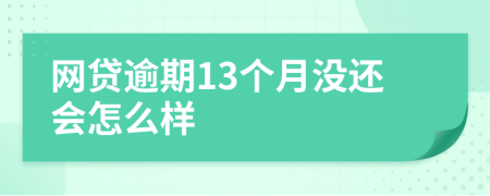 网贷逾期13个月没还会怎么样