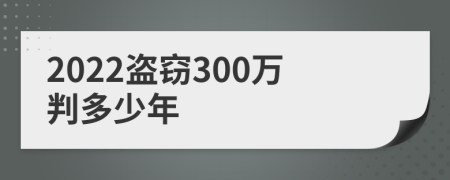 2022盗窃300万判多少年