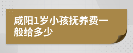 咸阳1岁小孩抚养费一般给多少