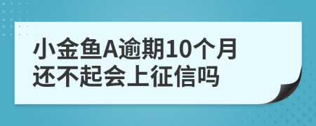 小金鱼A逾期10个月还不起会上征信吗