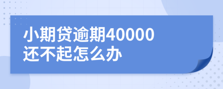 小期贷逾期40000还不起怎么办