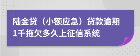 陆金贷（小额应急）贷款逾期1千拖欠多久上征信系统