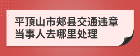 平顶山市郏县交通违章当事人去哪里处理