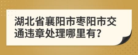 湖北省襄阳市枣阳市交通违章处理哪里有？