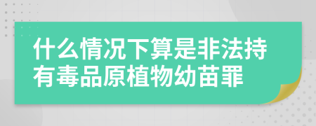 什么情况下算是非法持有毒品原植物幼苗罪