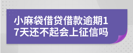 小麻袋借贷借款逾期17天还不起会上征信吗