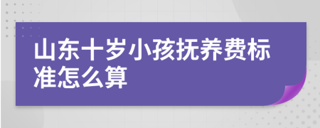 山东十岁小孩抚养费标准怎么算