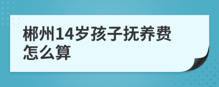 郴州14岁孩子抚养费怎么算