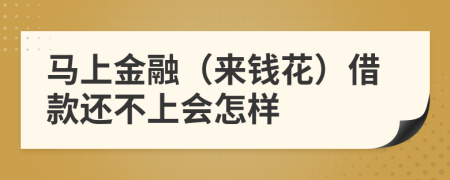 马上金融（来钱花）借款还不上会怎样