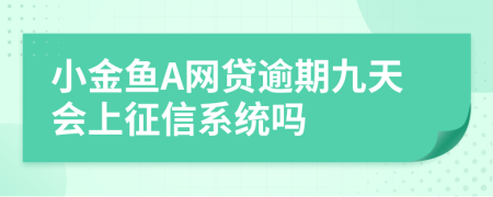 小金鱼A网贷逾期九天会上征信系统吗