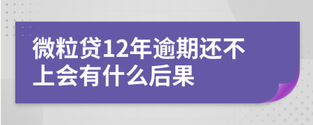 微粒贷12年逾期还不上会有什么后果