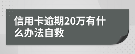 信用卡逾期20万有什么办法自救