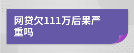 网贷欠111万后果严重吗
