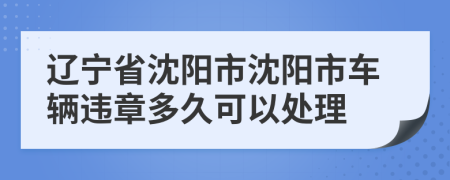 辽宁省沈阳市沈阳市车辆违章多久可以处理