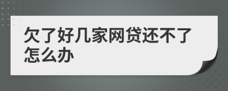 欠了好几家网贷还不了怎么办