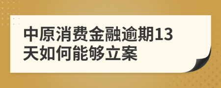 中原消费金融逾期13天如何能够立案