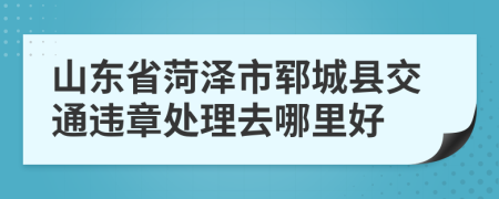 山东省菏泽市郓城县交通违章处理去哪里好