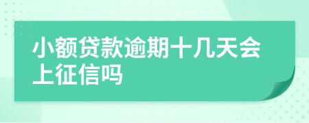 小额贷款逾期十几天会上征信吗