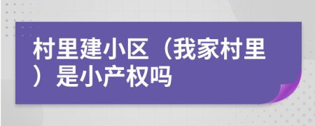 村里建小区（我家村里）是小产权吗