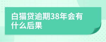 白猫贷逾期38年会有什么后果