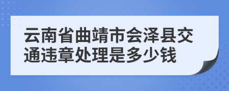 云南省曲靖市会泽县交通违章处理是多少钱