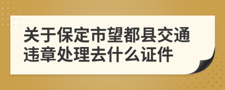 关于保定市望都县交通违章处理去什么证件