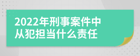 2022年刑事案件中从犯担当什么责任