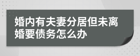 婚内有夫妻分居但未离婚要债务怎么办