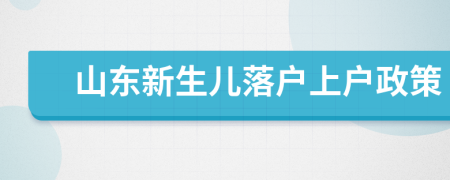 山东新生儿落户上户政策