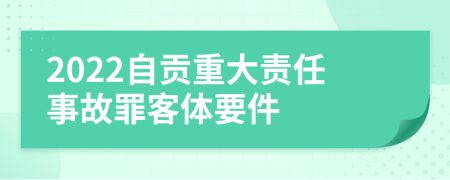 2022自贡重大责任事故罪客体要件